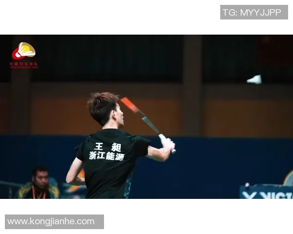 全国锦标赛回顾：杭州羽毛球队展现出强大实力与团队精神的精彩表现